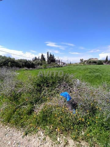 هكتار للبيع - 2