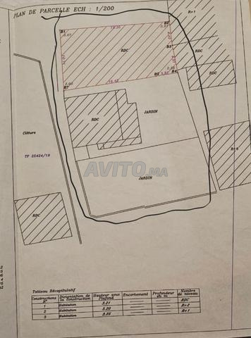 La Pépite de Martil Un Potentiel Illimité - 2