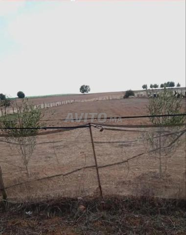 أرض فلاحية رائعة بآيت عبو الخميسات - 2