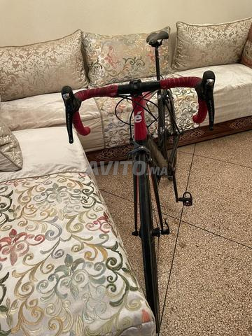 سيرفيلو احترافي - 2