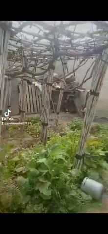 Chichaoua près de Aïn El Beida - 2