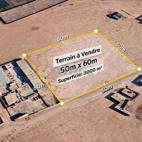 Terrain 3000 m² à vendre à Tin Lqaid – Idéal villa