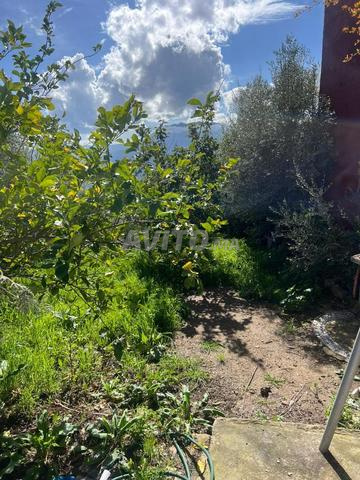 À VENDRE – Maison avec grand jardin à Chefchaouen - 2