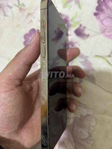 iPhone 13 pro max gold