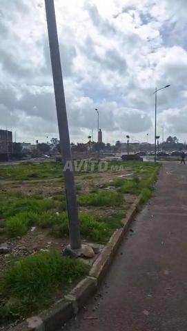 أرض للبيع - 2