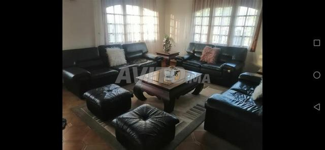 صالون جلد - 2