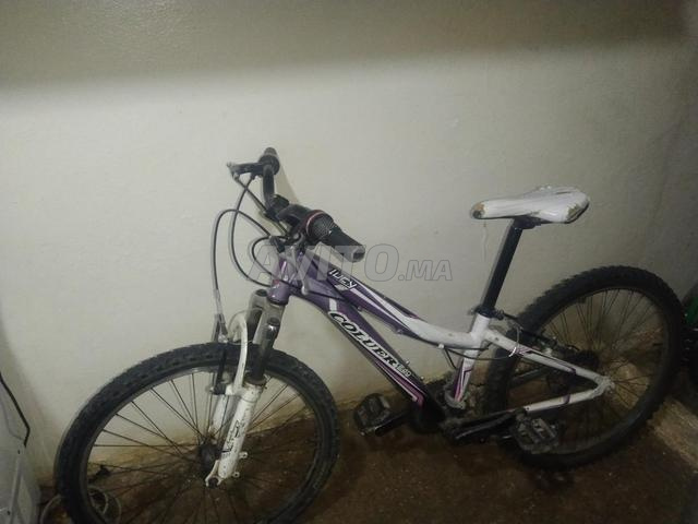 دراجة كولور 240 السعر قابل للتفاوض - 2