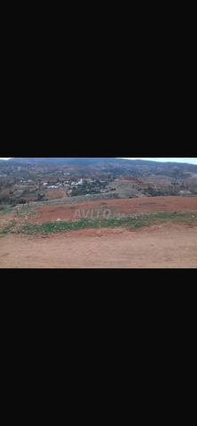 A vendre terrain krona jdid - 2