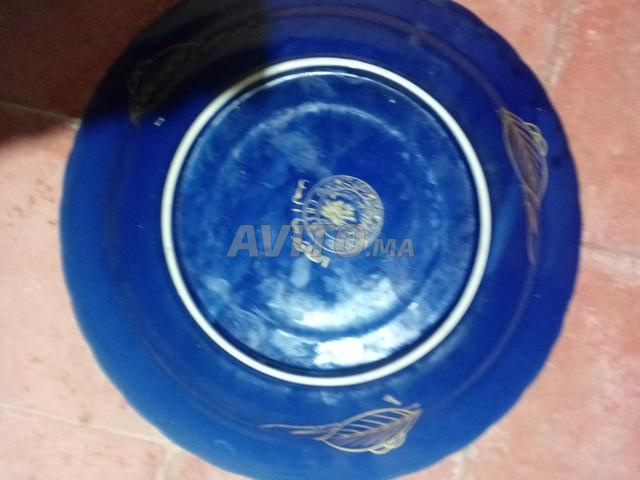 طاووس أحسن ما كاين في مغرب - 2