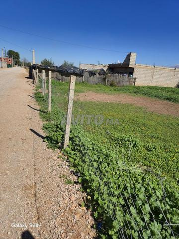 أرض للبيع نواحي بني ملال م2 620 - 2