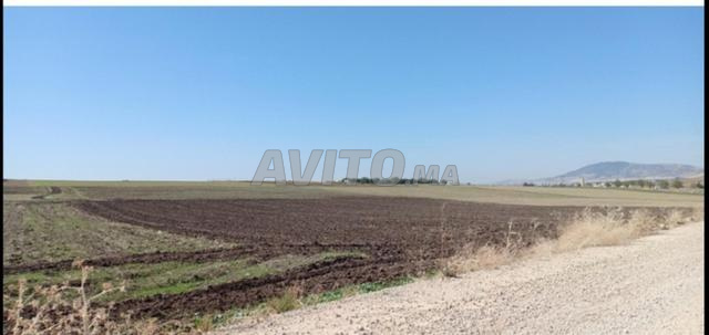 Un hectare titré Route Sidi Hrazem - 2