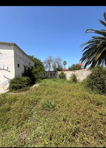 أرض لبناء فيلا على الواجهة البحرية أولجا سيدي رحال