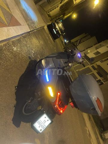 JNEN Cappuccino S 2024 - 2