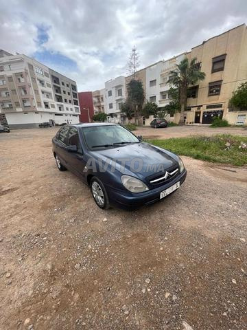 سترووين كزارا مازوط 7 خيل ممكن التبادل - 2