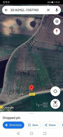 Terrain agricole Berrechid Foqra - 2