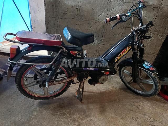 Jemaa Sehaim, environs de Safi - 2