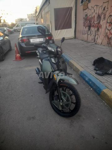 33 bican jdida stondar - 2