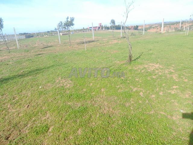 أرض محفظة مجهزة 8600 متر عين الجوهرة - 2