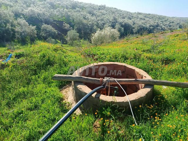 مزرعة رائعة مجهزة 5000 متر بعين الحوهرة - 2