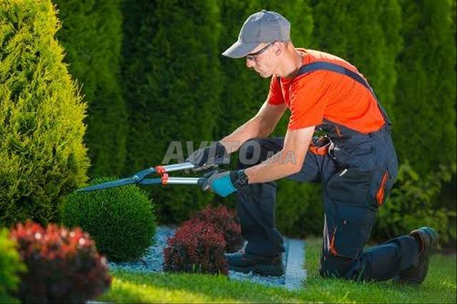 Jardinier gardien cherche travail - 2