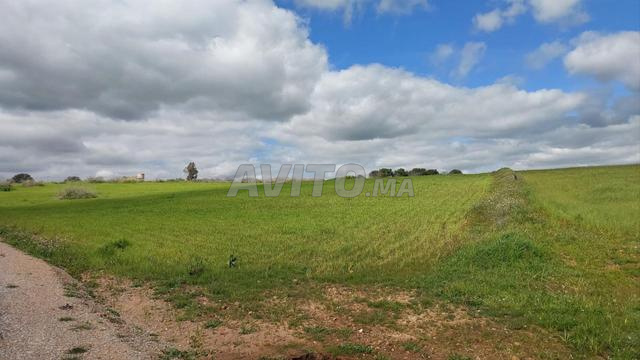 Ter titre 12000m2 om sallat kamouni - 2