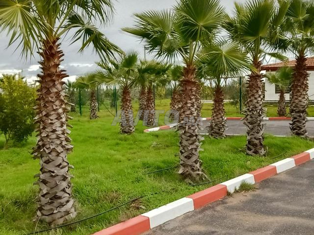 Ferme magnifique à vendre - 2