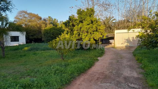 2000 plain-pied a rabat souissi