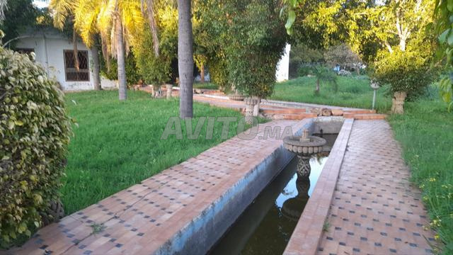 3160 plain-pied à Rabat Souissi