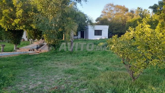 2000 plain-pied a rabat souissi - 2