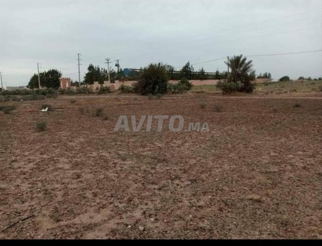 أرض لبناء فيلا, أو لمشروع فلاحي أو صناعي