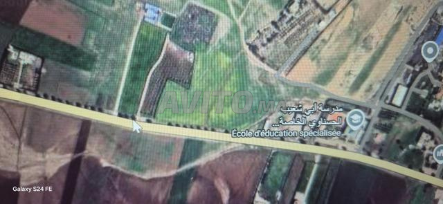 Terrain ferme pour villa - 2