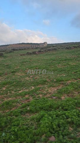 Terrain à vendre à Ourika - 2