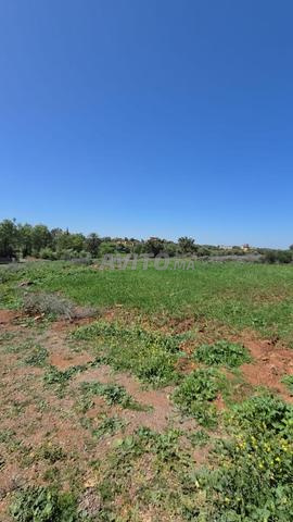 Terrain à vendre à Ourika - 2