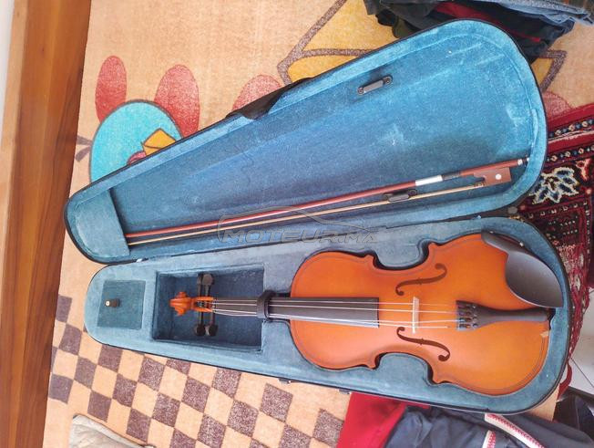 violant 4×4