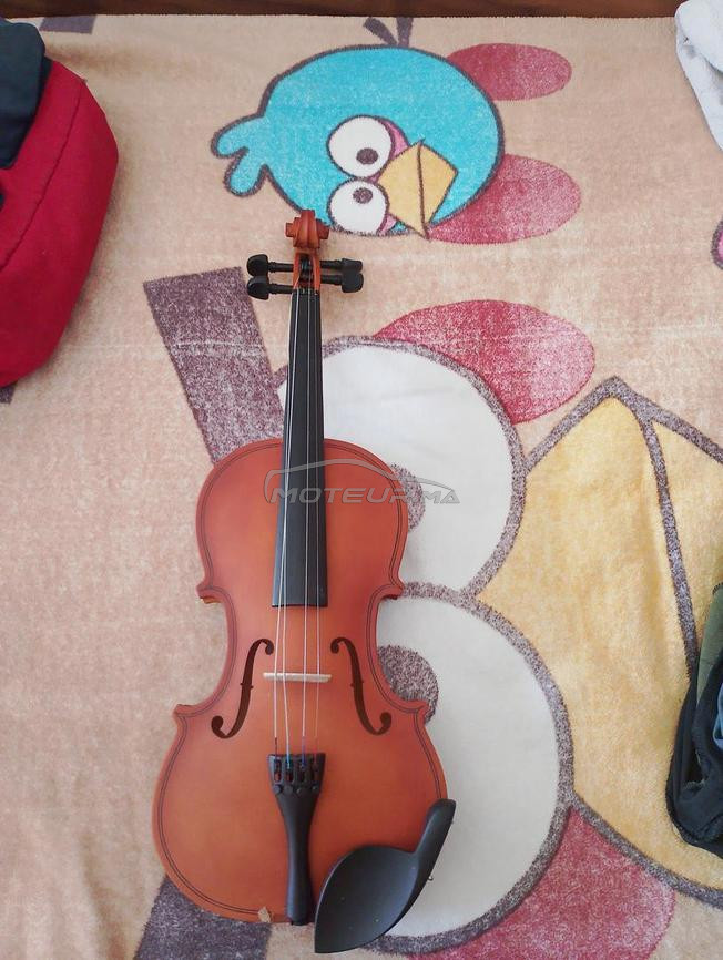 violant 4×4