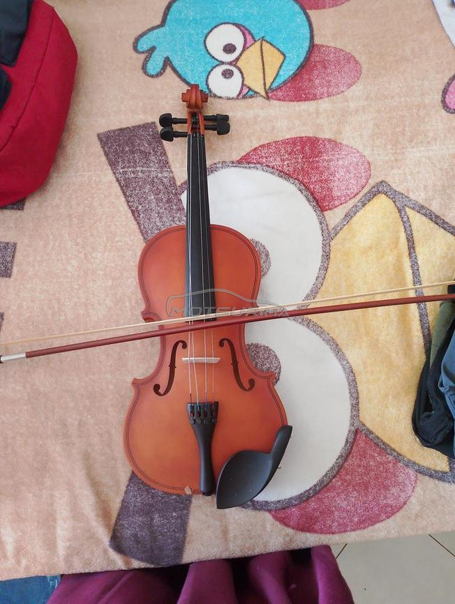 violant 4×4