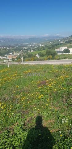 Terrain à vendre, tetouan
