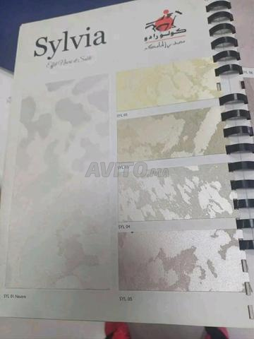 صباغ أكادير - 2