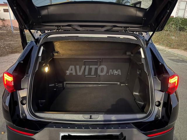 أوبل جراند لاند X - 2