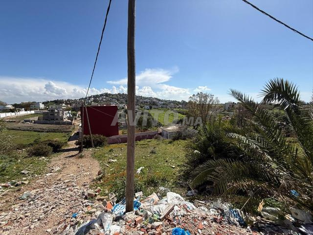 أرض أجبيلة أشقار 818 متر 1500 درهم للمتر - 2