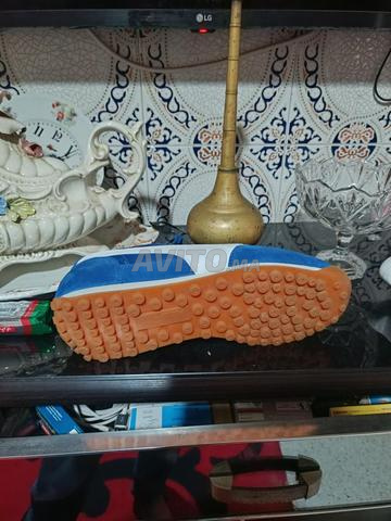 بوما أصلي - 2