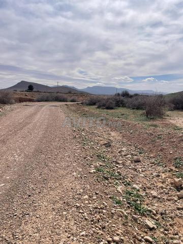 Terrain à vendre - 2