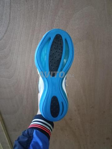 صبارديلا طبية 39 - 2