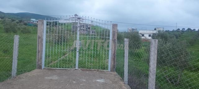 Commune de Souk Kdim, province de Tétouan, à 15 km de Tétouan