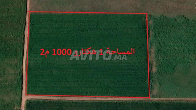 بيع أراضي وفيلات محفظة بسيدي رحال - 2