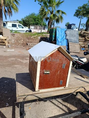 بيوت للقطط - 2