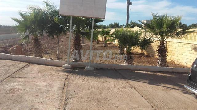 Sidi El Aidi Settat - 2