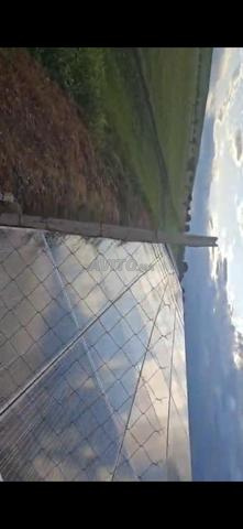 Terrain agricole à vendre - 2