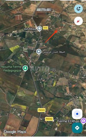 أرض فلاحية للبيع في ريبا سيدي يحيى - 2