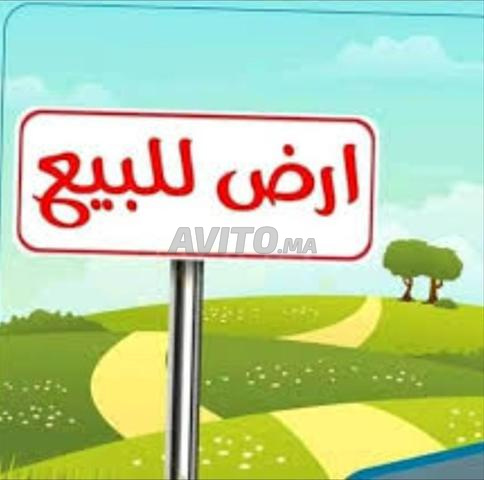 بقعة أرضية للبيع بمدينة تادلة